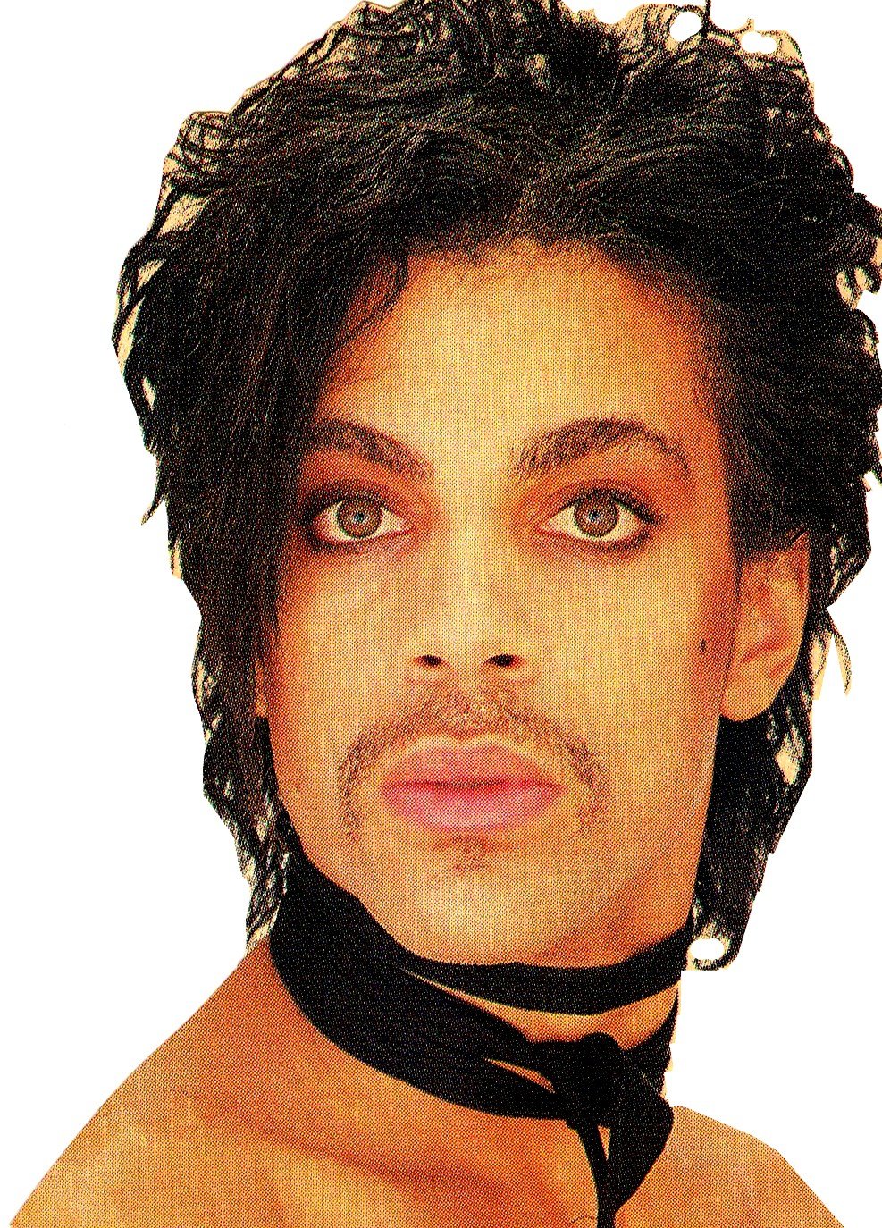 Roundup: Ephemera, 1981-1982